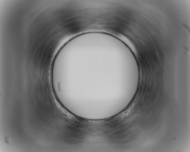 X0000096660958200803041158