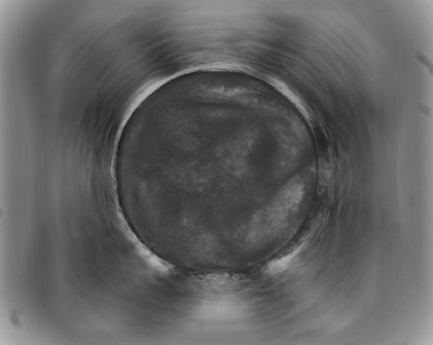 X0000096660959200803041158