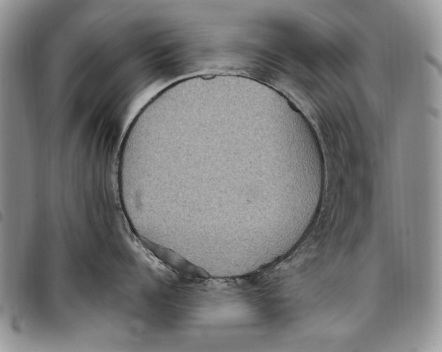 X0000096660960200803041158