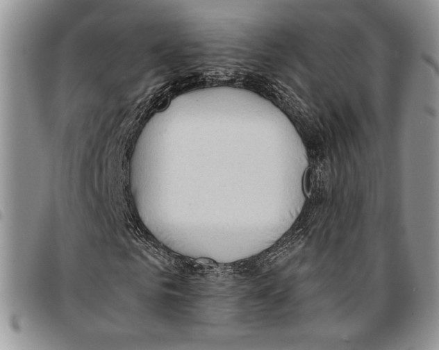 X0000096660961200803041157