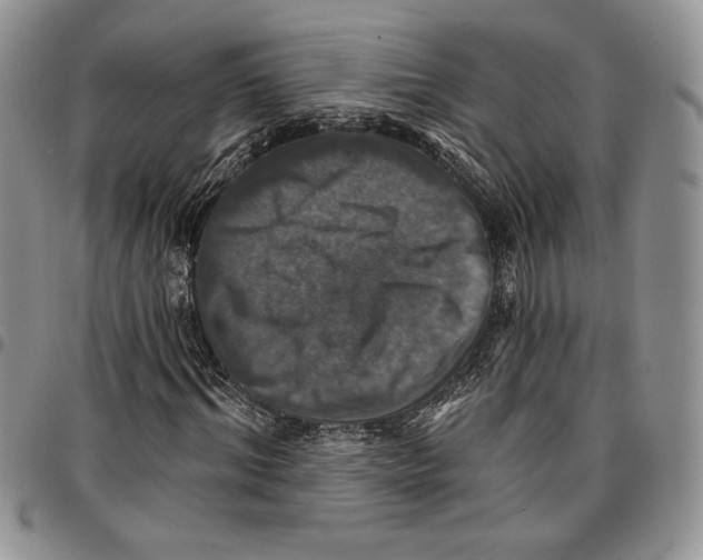 X0000096660964200803041157