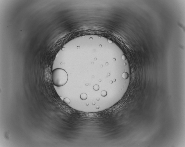 X0000096660966200803041157