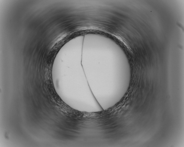 X0000096660967200803041157