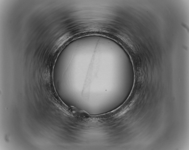 X0000096660969200803041157