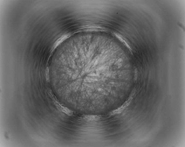 X0000096660970200803041157