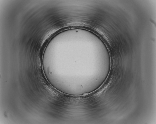 X0000096660973200803041157