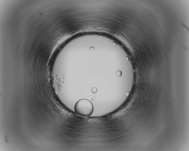 X0000096660974200803041157