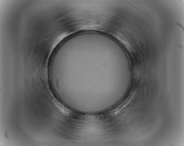 X0000096660976200803041157