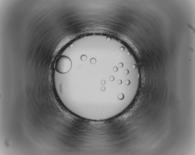 X0000096660978200803041157