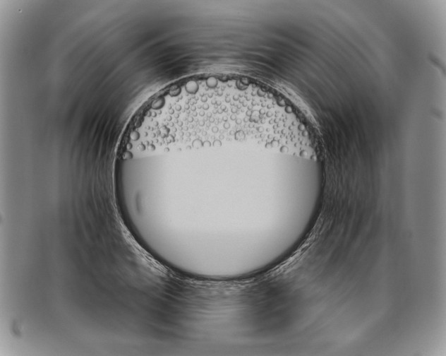 X0000096660980200803041157