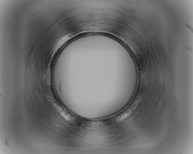 X0000096660982200803041157