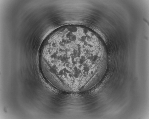 X0000096660983200803041157