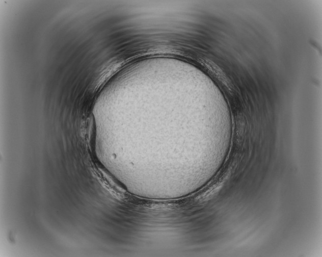 X0000096660985200803041157