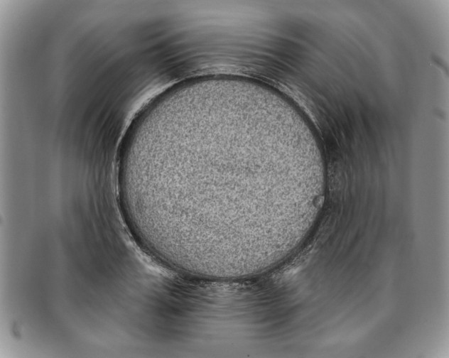 X0000096660987200803041157