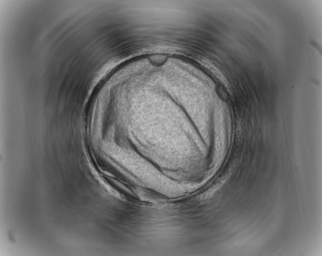 X0000096660989200803041157