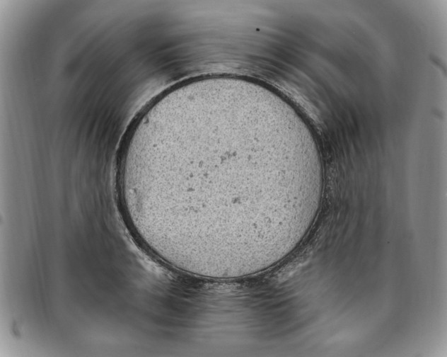 X0000096660991200803041157