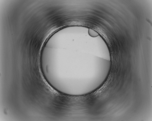 X0000096660992200803041157