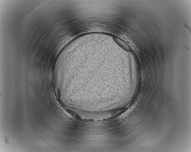 X0000096660993200803041157