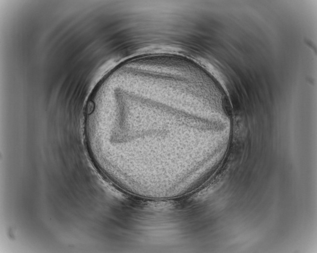 X0000096660997200803041157