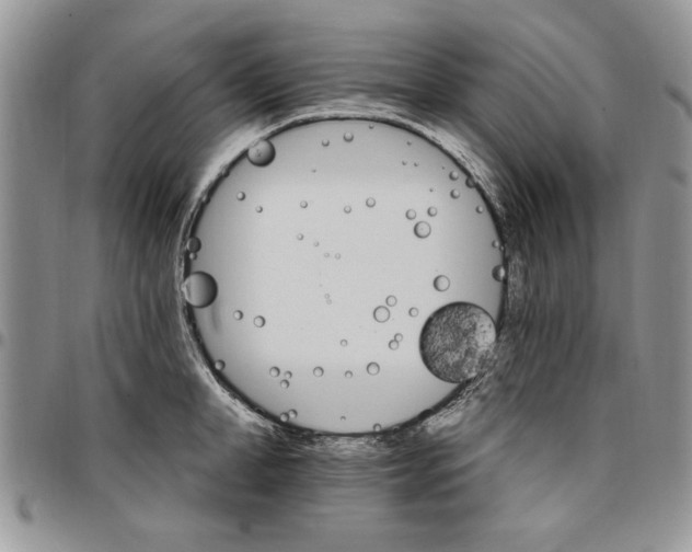 X0000096660998200803041157