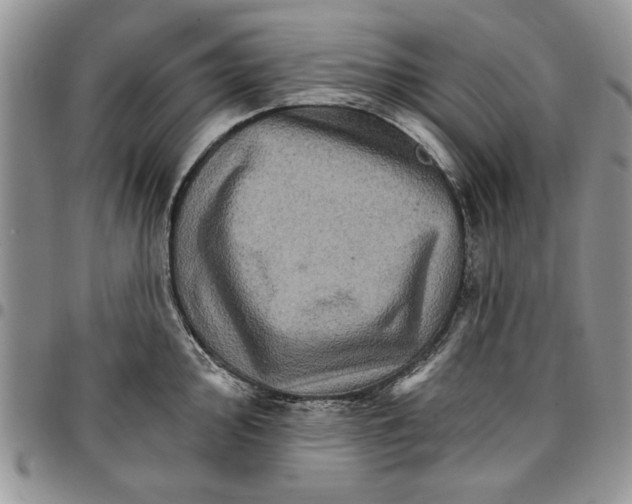 X0000096661000200803041157