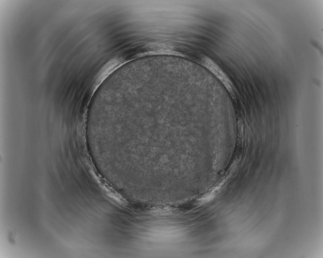 X0000096661002200803041157