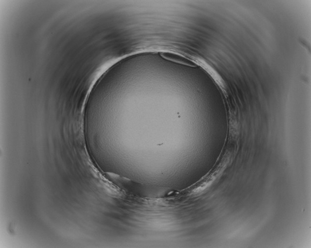 X0000096661004200803041157