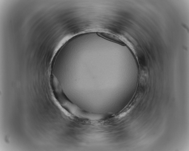 X0000096661005200803041157