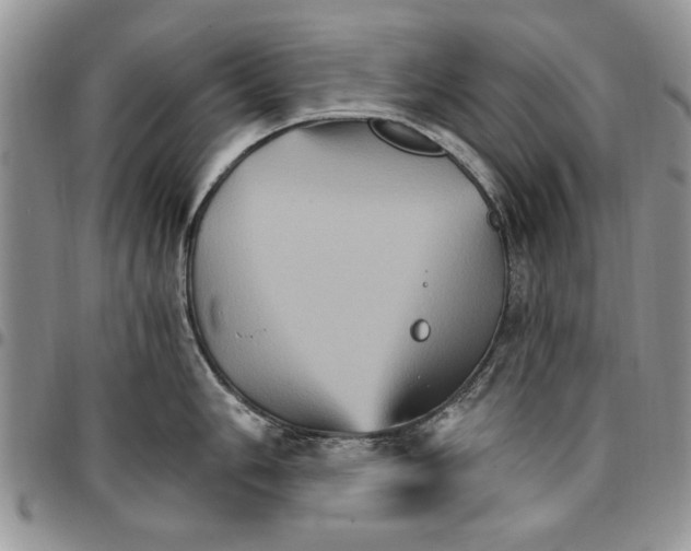 X0000096661006200803041157