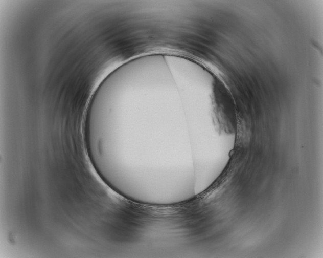 X0000096661007200803041157