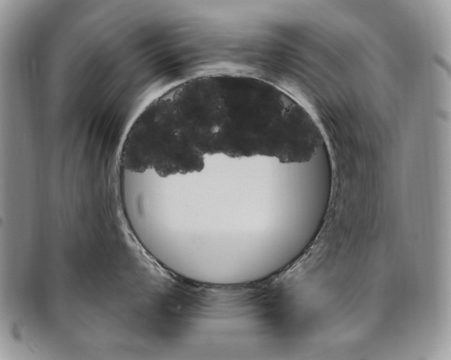 X0000096661008200803041157