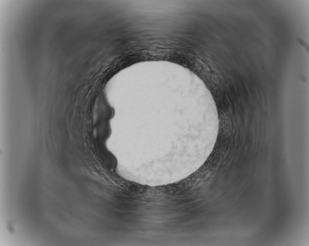 X0000096661009200803041156