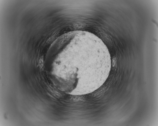 X0000096661011200803041156