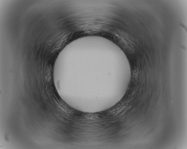 X0000096661012200803041156