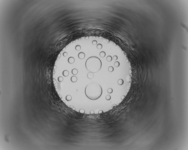 X0000096661013200803041156