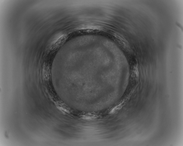 X0000096661014200803041156