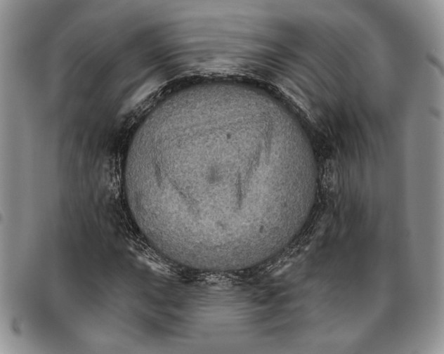 X0000096661015200803041156