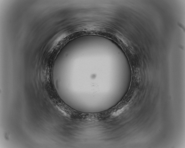 X0000096661016200803041156