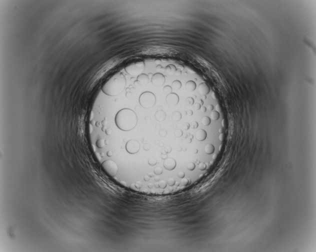 X0000096661017200803041156