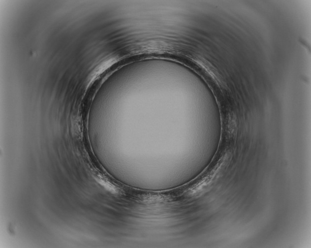 X0000096661018200803041156