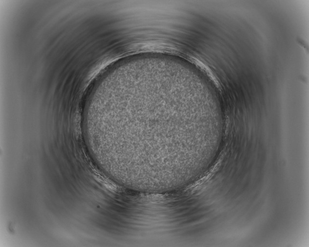 X0000096661019200803041156