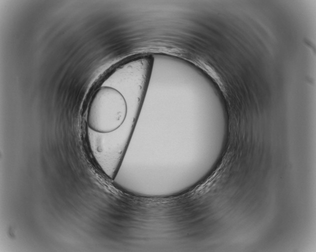 X0000096661020200803041156