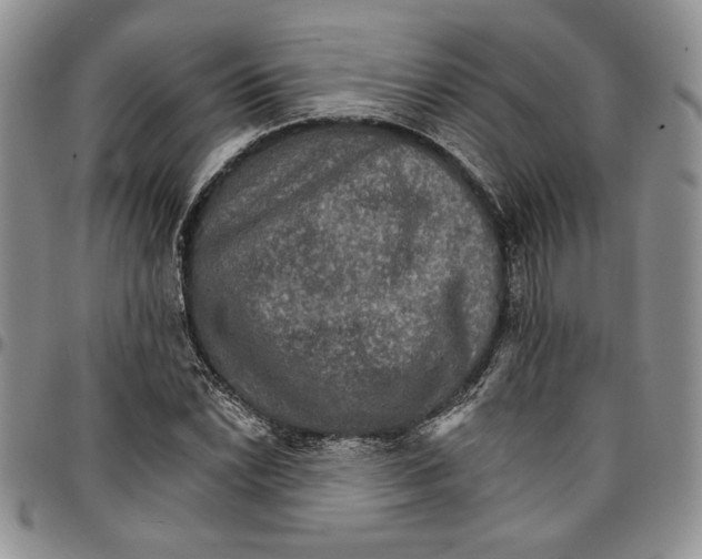 X0000096661022200803041156