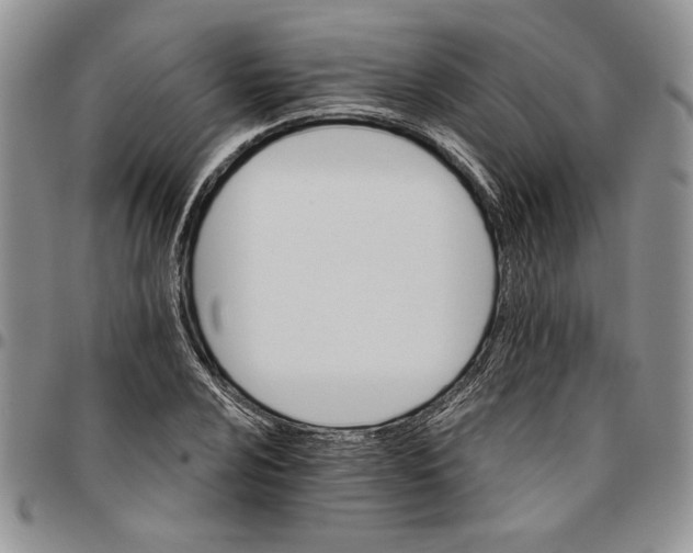 X0000096661024200803041156