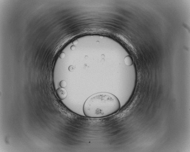 X0000096661025200803041156