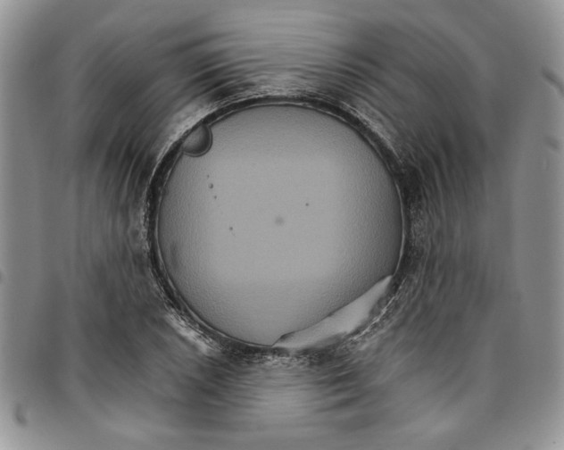 X0000096661026200803041156