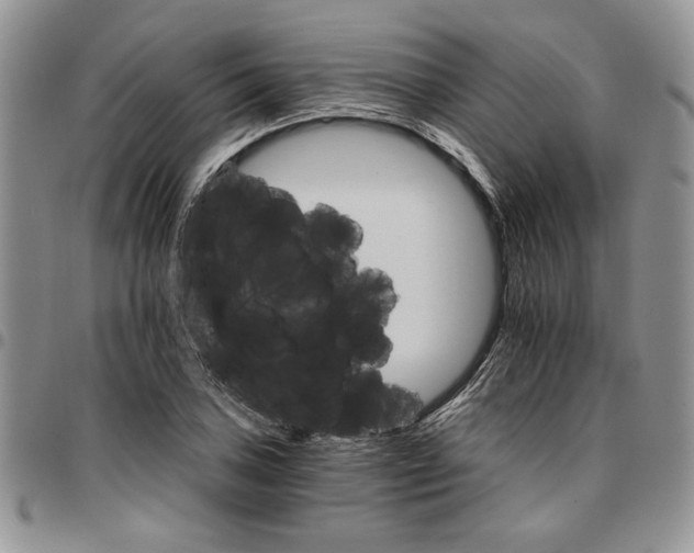 X0000096661027200803041156