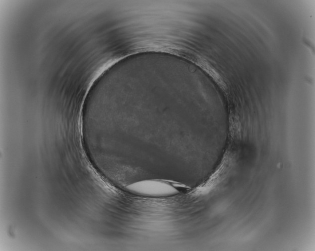 X0000096661028200803041156