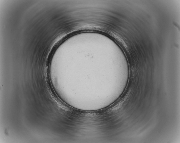 X0000096661029200803041156