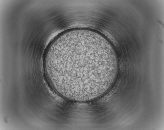 X0000096661030200803041156